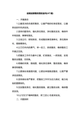 巡视巡察整改落实金句