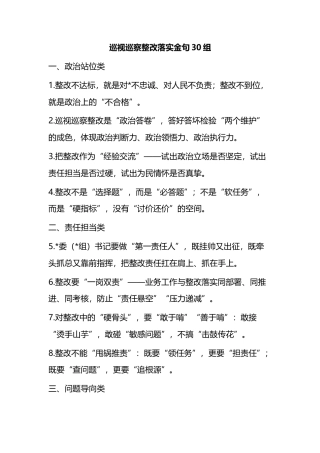 巡视巡察整改落实金句30组