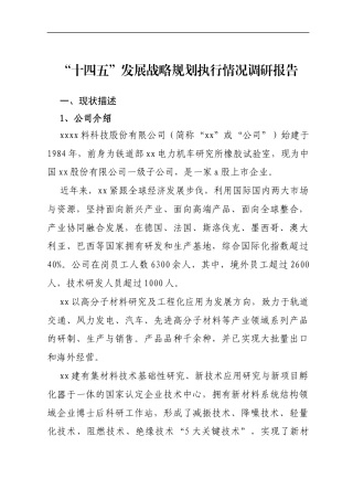 “十四五”发展战略规划执行情况调研报告