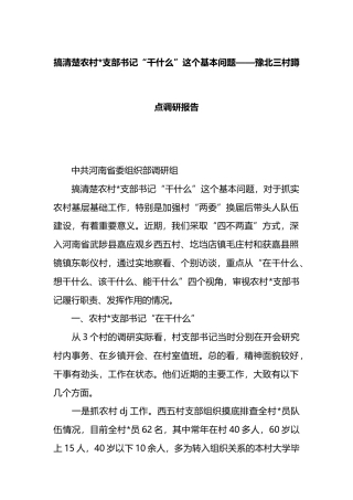 豫北三村蹲点调研报告