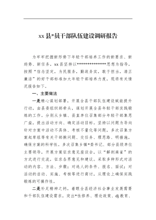 干部队伍建设调研报告