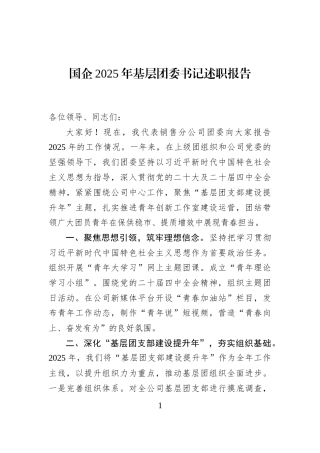 国企2025年基层团委书记述职报告