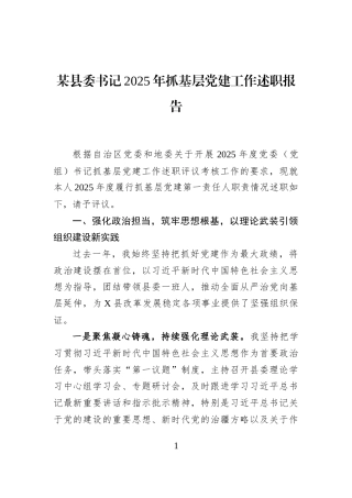 某县委书记2025年抓基层党建工作述职报告