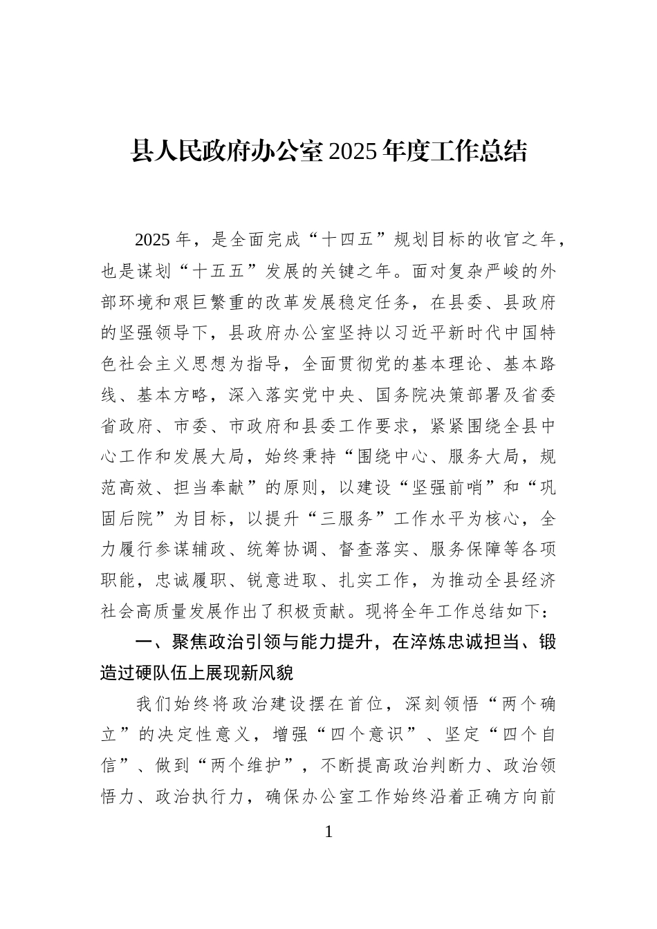县人民政府办公室2025年度工作总结_第1页