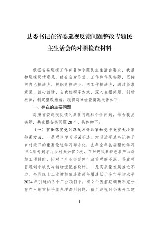 县委书记在省委巡视反馈问题整改专题民主生活会的对照检查材料