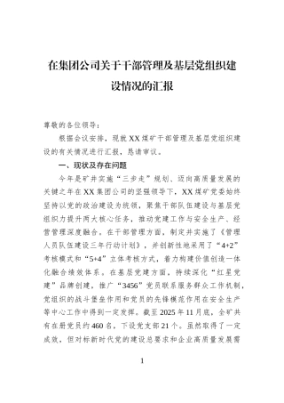 在集团公司关于干部管理及基层党组织建设情况的汇报