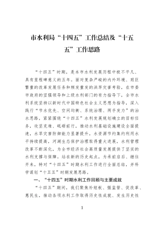市水利局“十四五”工作总结及“十五五”工作思路