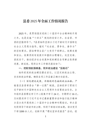 县委2025年全面工作情况报告
