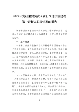 2025年党政主要负责人履行推进法治建设第一责任人职责情况的报告