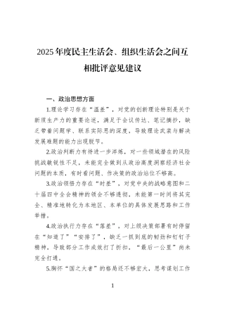2025年度民主生活会、组织生活会之间互相批评意见建议
