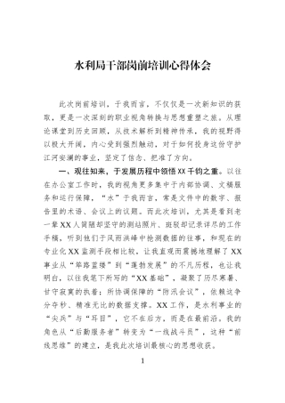水利局干部岗前培训心得体会