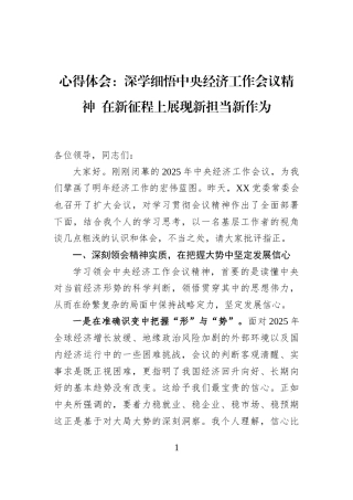 心得体会：深学细悟中央经济工作会议精神+在新征程上展现新担当新作为