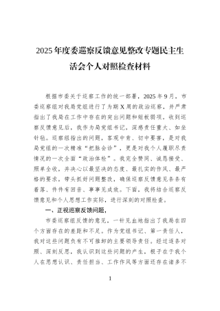 2025年度委巡察反馈意见整改专题民主生活会个人对照检查材料