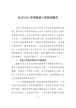 公司2025年度保密工作情况报告