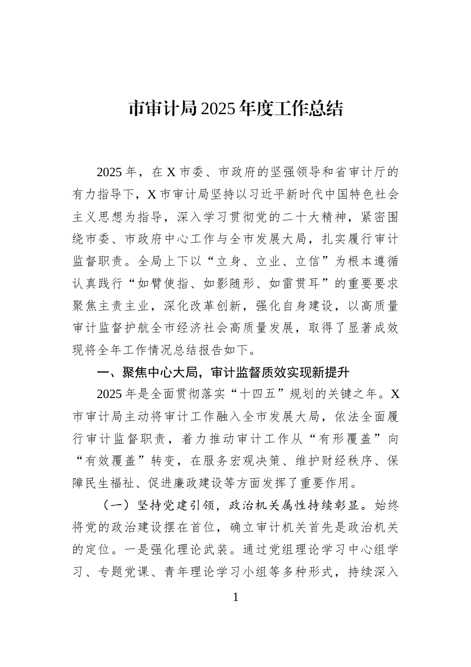 市审计局2025年度工作总结_第1页