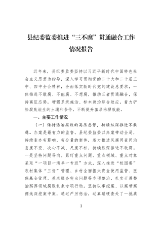 县纪委监委推进“三不腐”贯通融合工作情况报告