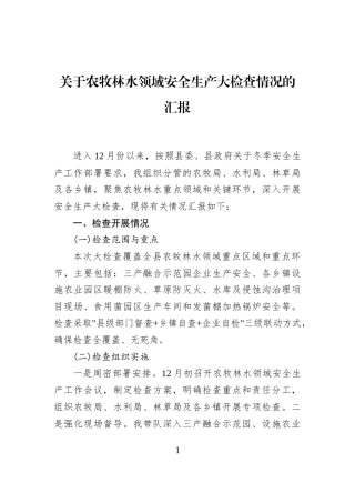 关于农牧林水领域安全生产大检查情况的汇报