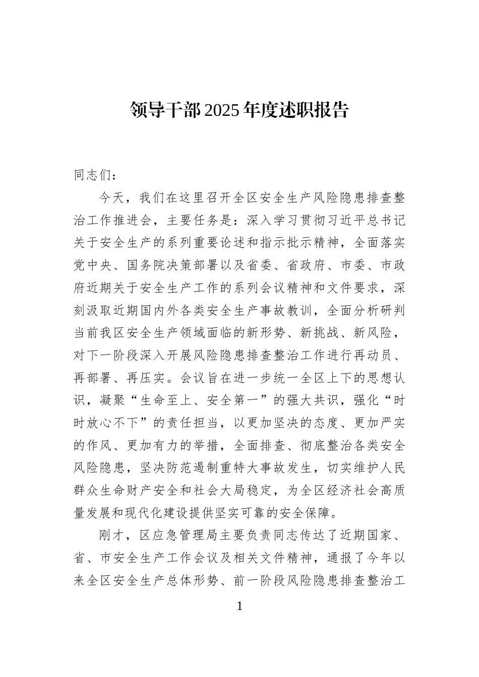 领导干部2025年度述职报告_第1页