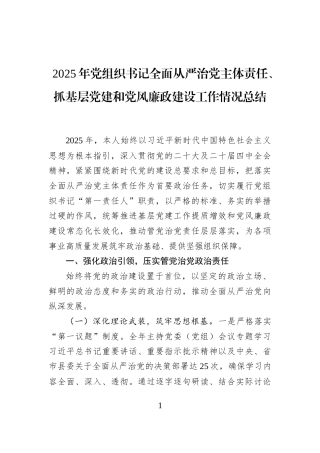 2025年党组织书记全面从严治党主体责任、抓基层党建和党风廉政建设工作情况总结