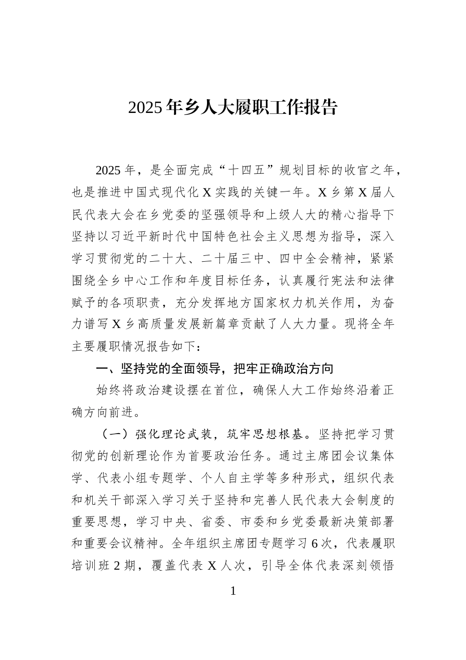 2025年乡人大履职工作报告_第1页