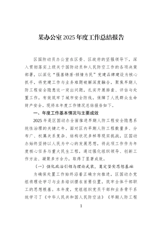 某办公室2025年度工作总结报告