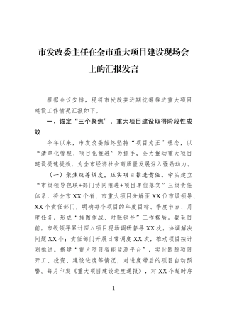 市发改委主任在全市重大项目建设现场会上的汇报发言