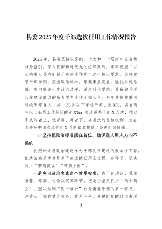 县委2025年度干部选拔任用工作情况报告