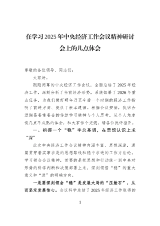 在学习2025年中央经济工作会议精神研讨会上的几点体会