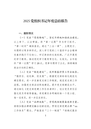 2025党组织书记年度总结报告