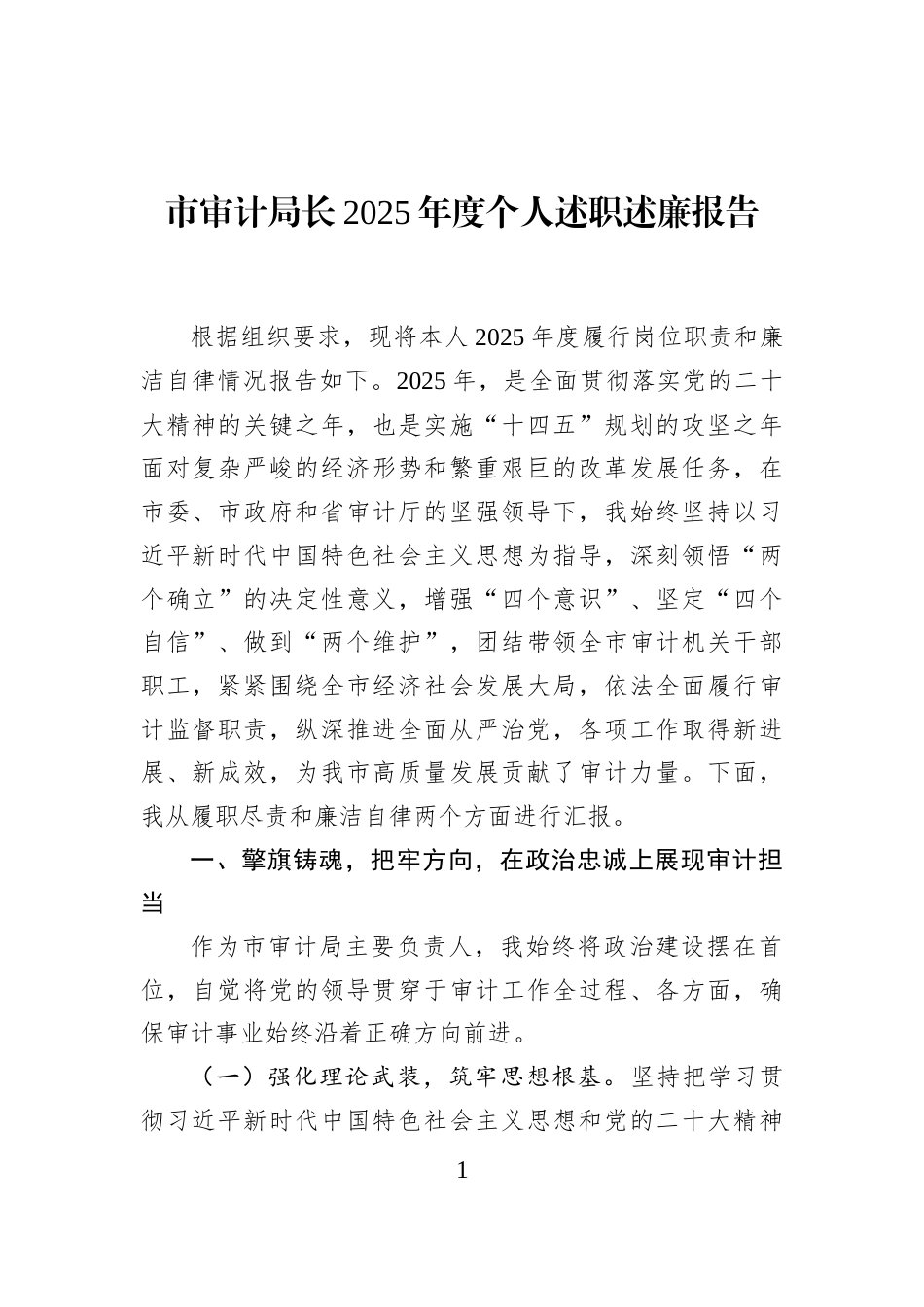市审计局长2025年度个人述职述廉报告_第1页