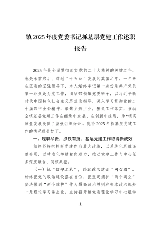 镇2025年度党委书记抓基层党建工作述职报告