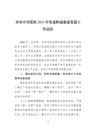 市审计局党组2025年度述职述廉述党建工作总结