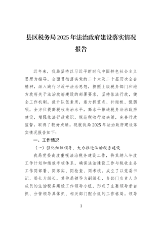 县区税务局2025年法治政府建设落实情况报告