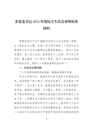 乡党委书记2025年度民主生活会对照检查材料