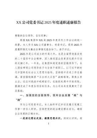 XX公司党委书记2025年度述职述廉报告