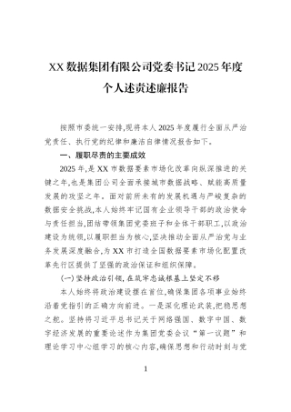 XX数据集团有限公司党委书记2025年度个人述责述廉报告