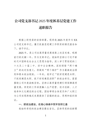 公司党支部书记2025年度抓基层党建工作述职报告