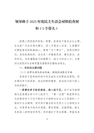 领导班子2025年度民主生活会对照检查材料（5个带头）