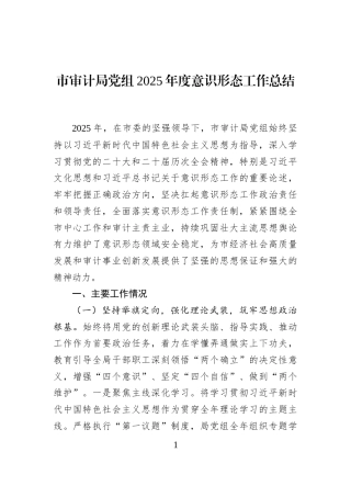 市审计局党组2025年度意识形态工作总结