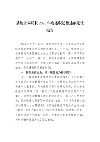 县统计局局长2025年度述职述德述廉述法报告