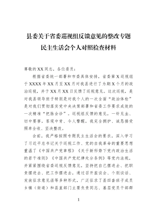 县委关于省委巡视组反馈意见的整改专题民主生活会个人对照检查材料