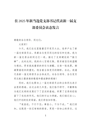 在2025年新当选党支部书记代表新一届支部委员会表态发言