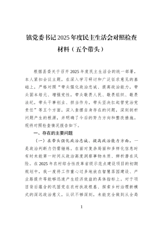 镇党委书记2025年度民主生活会对照检查材料（五个带头）