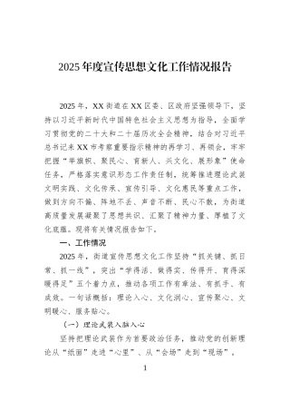 2025年度宣传思想文化工作情况报告
