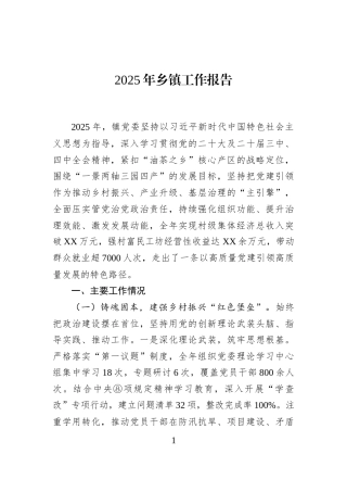 2025年乡镇工作报告