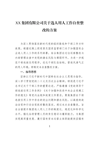 XX集团有限公司关于选人用人工作自查整改的方案