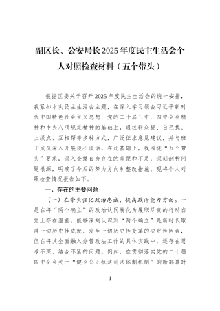 副区长、公安局长2025年度民主生活会个人对照检查材料（五个带头）