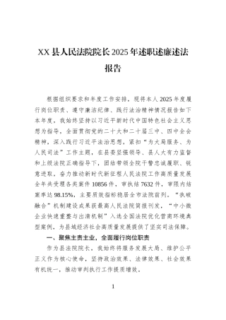 XX县人民法院院长2025年述职述廉述法报告