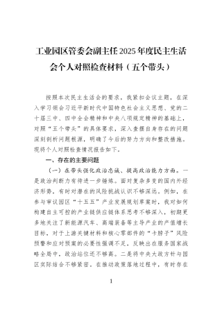 工业园区管委会副主任2025年度民主生活会个人对照检查材料（五个带头）