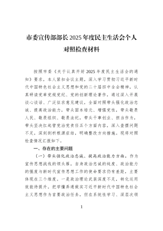 市委宣传部部长2025年度民主生活会个人对照检查材料